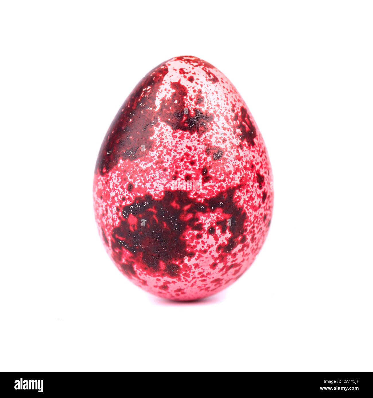 Quaglia uovo di pasqua di colore rosa, isolato su sfondo bianco. Concetto di pasqua. Macro Foto Stock