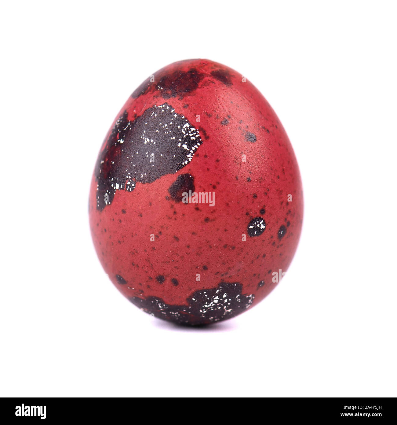 Quaglia uovo di pasqua il colore rosso, isolato su sfondo bianco. Concetto di pasqua. Macro Foto Stock