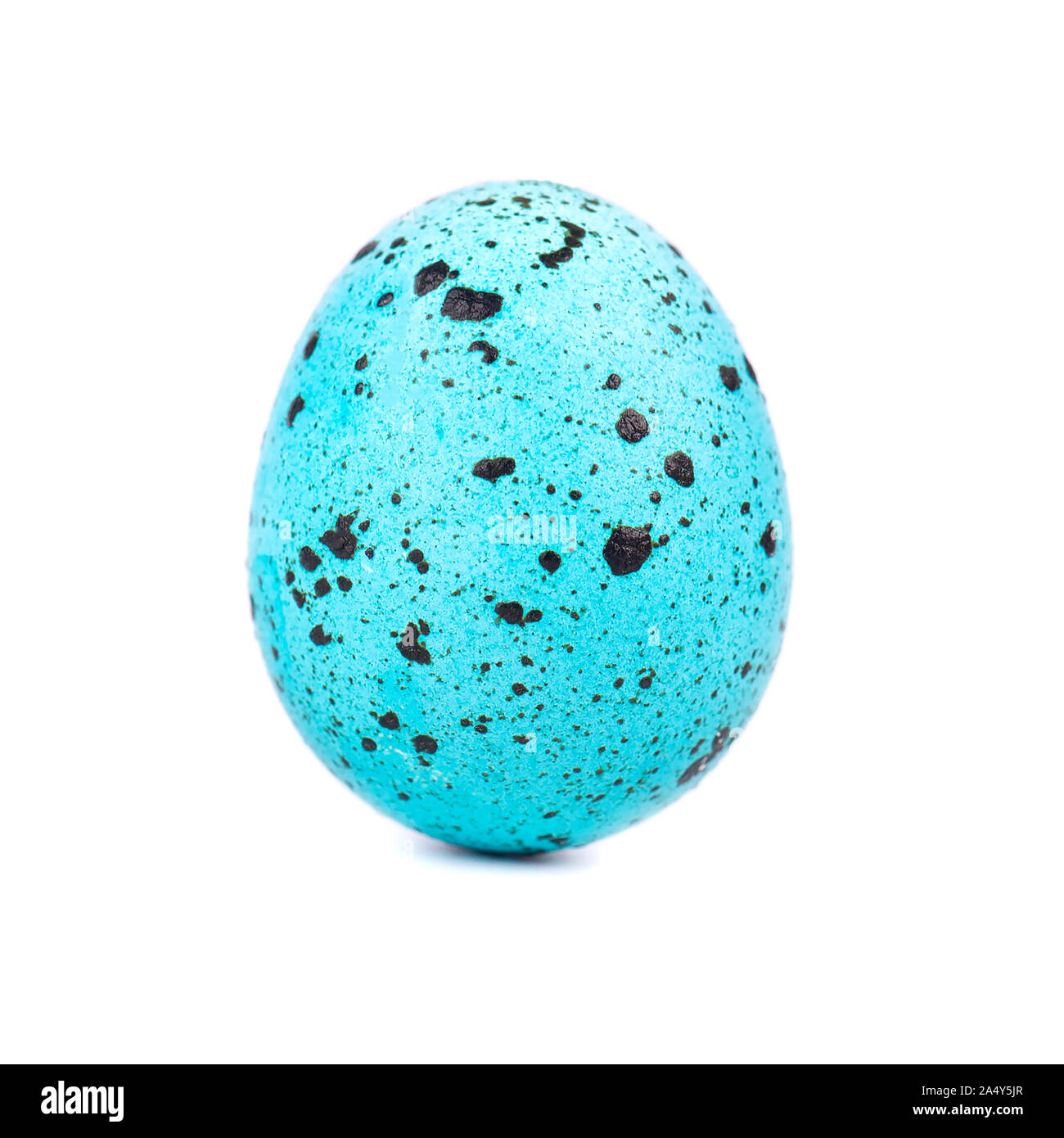 Quaglia uovo di pasqua di colore blu, isolato su sfondo bianco. Concetto di pasqua. Macro Foto Stock