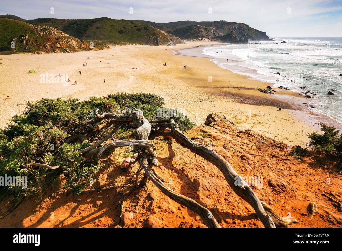 Scenario paesaggistico di Praia do Amado, una bella surfer beach in Algarve Costa Vicentina vicino a Carrapateira Portogallo Foto Stock
