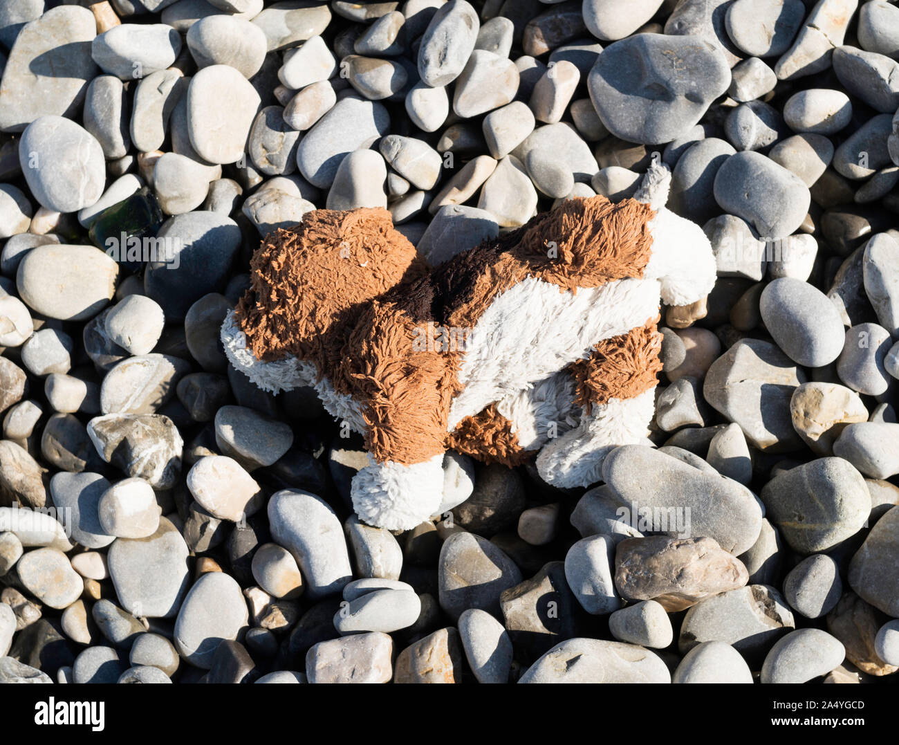 Un cane abbandonato la bambola che giace sulla spiaggia di ciottoli di Nizza, in Francia, in Europa Foto Stock