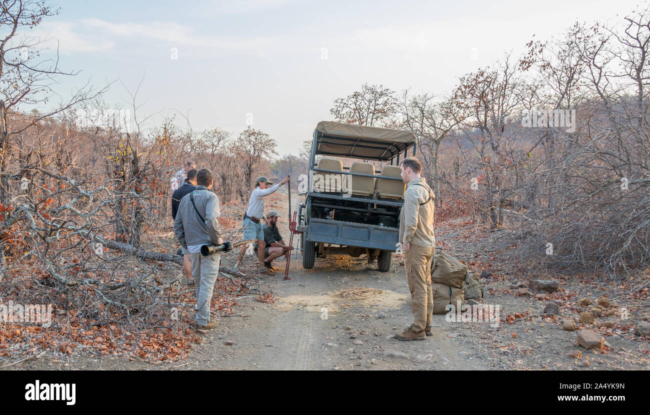 Pafuri, Sud Africa - turisti non identificato e guide cambiare un pneumatico sgonfio su un gioco fuori del veicolo nella boccola immagine con spazio di copia Foto Stock
