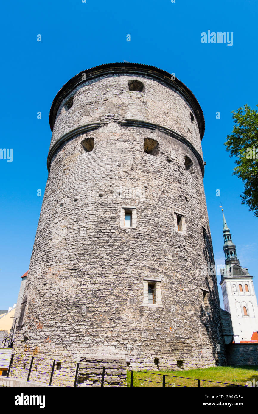 Kiek in de Kök, Toompea, Tallinn, Estonia Foto Stock