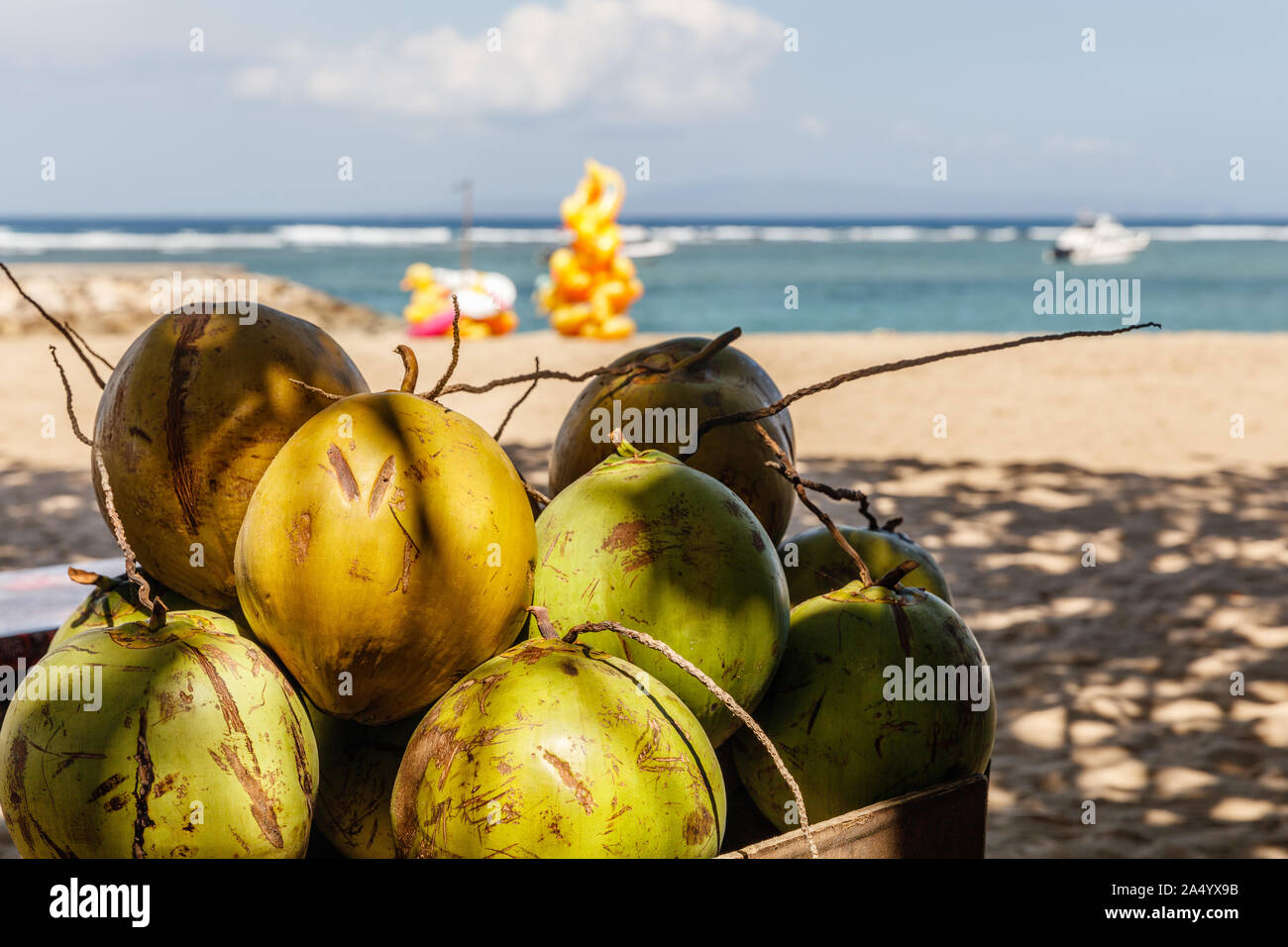 Pila di bere noci di cocco presso la spiaggia di Sanur. Bali, Indonesia. Foto Stock