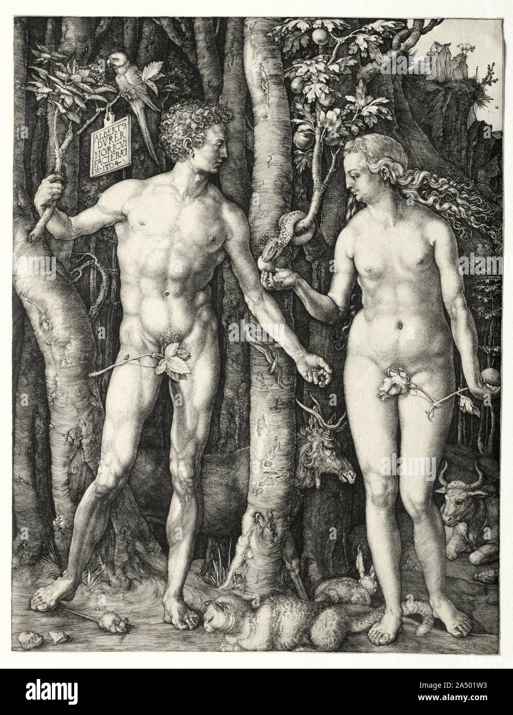 Adamo ed Eva, 1504. D&#xfc;rer basato Adam&#x2019;s pongono sull'Apollo Belvedere , una scultura romana scoperto in Italia nel corso del tardo quattrocento. Egli ha costruito i corpi idealizzato di Adamo ed Eva utilizzando geometria e un sistema matematico di proporzione scioltamente derivata da modelli antichi. Per D&#xfc;RER, che principalmente rappresentati soggetti cristiana, la creazione di teoricamente perfetta corpi umani è stato un percorso per comprendere il divino. Egli ha quindi rappresentato Adamo ed Eva come lui li capiva in sia teologiche e termini artistici: momenti prima di assaggiare il frutto proibito, essi sono ancora uncorrup Foto Stock