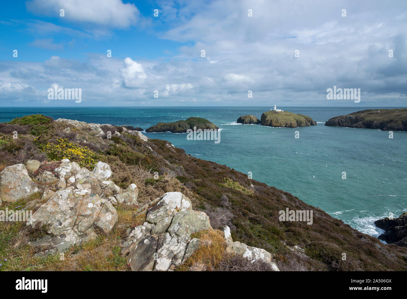 Strumble Head vicino a Fishguard in Il Pembrokeshire Coast National Park, il Galles. Foto Stock