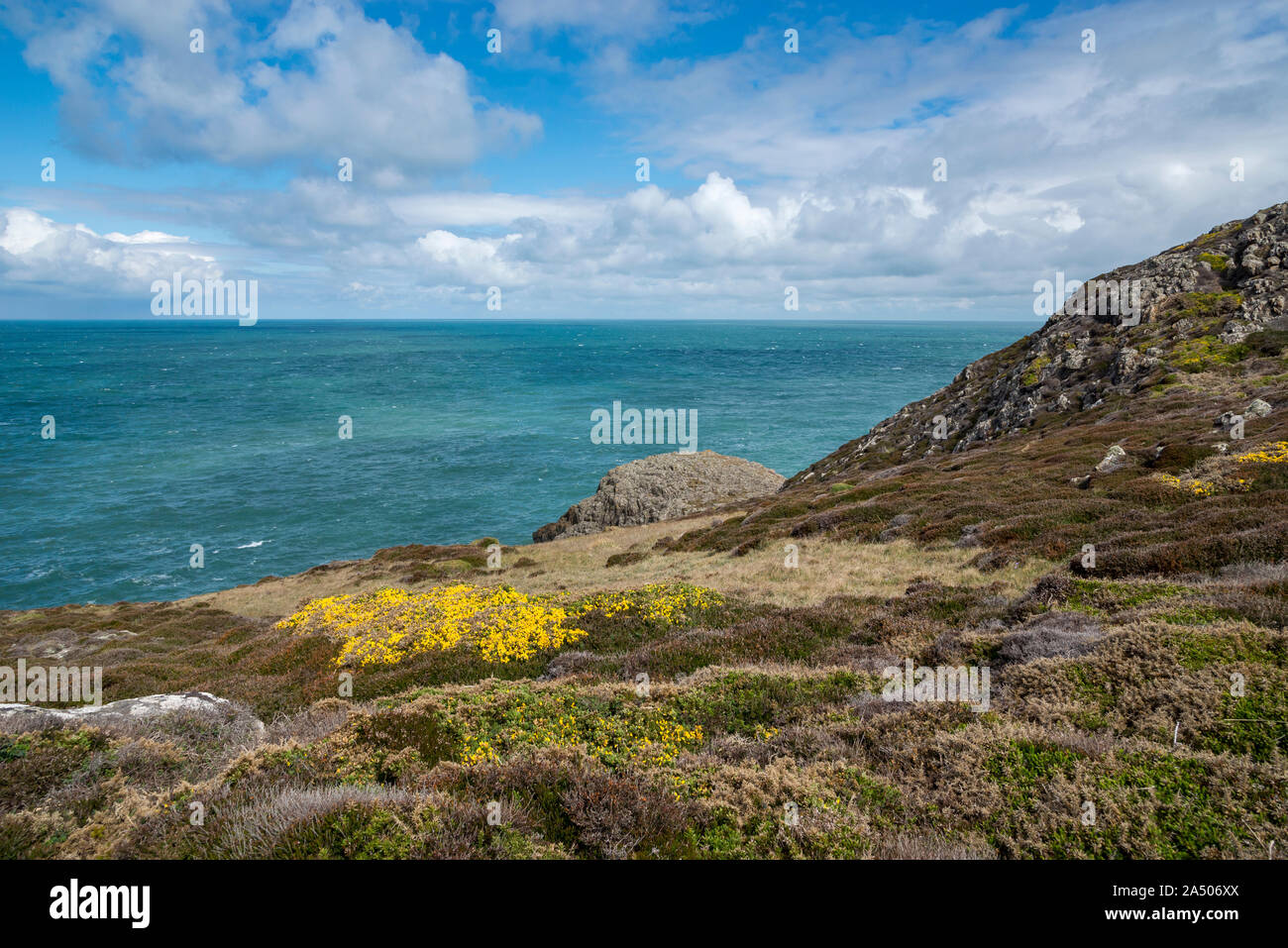 Strumble Head vicino a Fishguard in Il Pembrokeshire Coast National Park, il Galles. Foto Stock