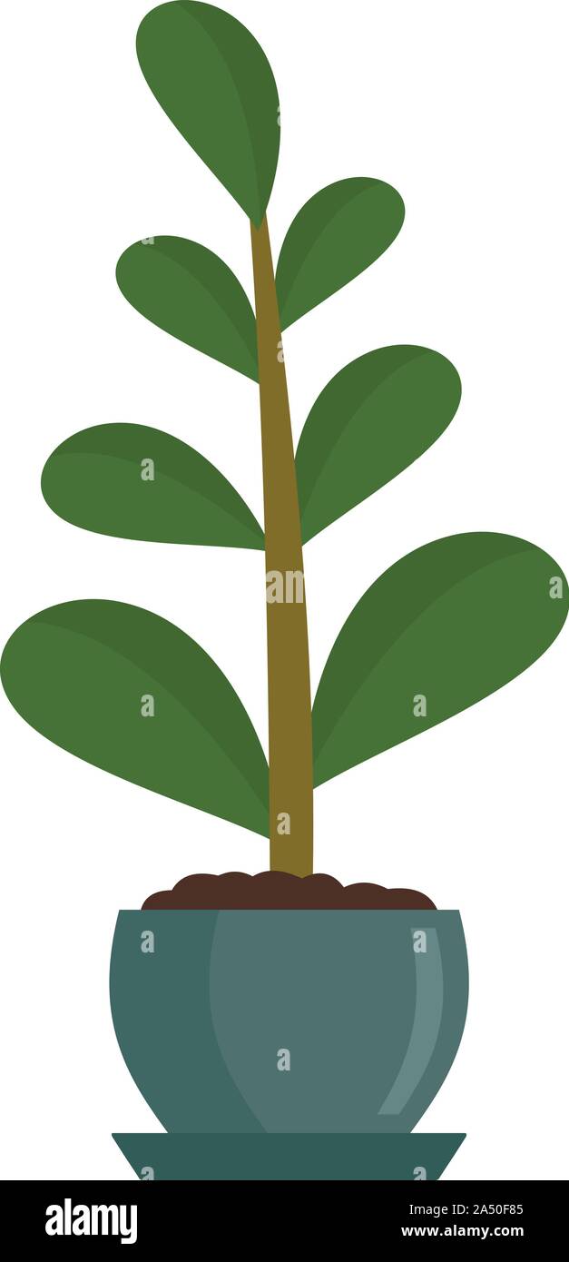 Jungle houseplant icona. Illustrazione piana della giungla houseplant icona vettoriali per il web design Illustrazione Vettoriale