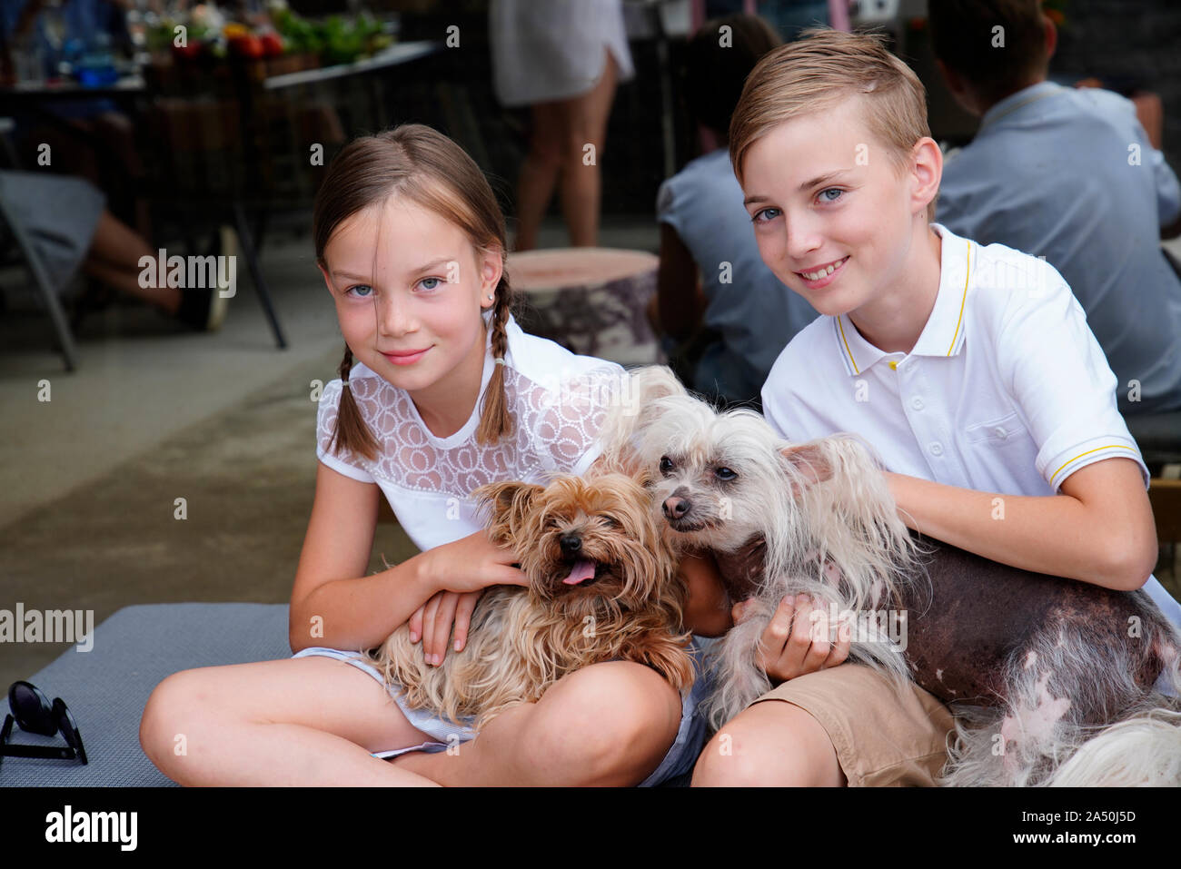Fratelli con i loro cani, Karlovy Vary, Repubblica Ceca Foto Stock