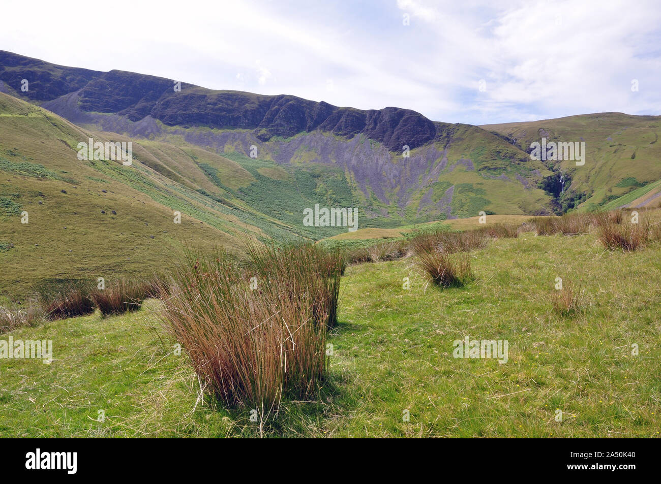 Cautley roccioso e Cautley beccuccio Foto Stock