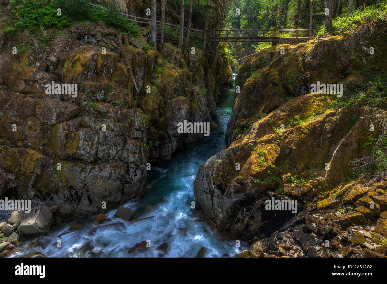 Il fiume Ohanapecosh e il sentiero delle cascate d'argento nel Parco Nazionale del Monte Rainier. Foto Stock