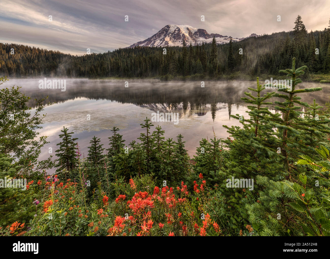 Monte Rainier nel lago di Reflection con fiori selvatici. Foto Stock
