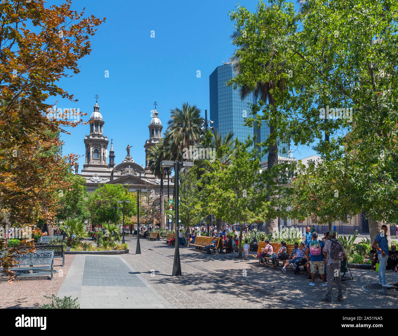 La Plaza de Armas guardando verso la Cattedrale Metropolitana, Santiago Centro, Santiago del Cile, Sud America Foto Stock
