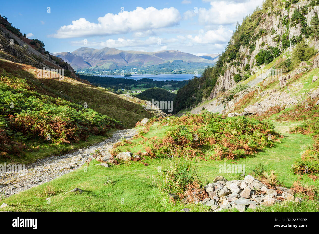 Vista sulla Derwent Water e Skiddaw da Silverdale nel Parco Nazionale del Distretto dei Laghi, Cumbria. Foto Stock