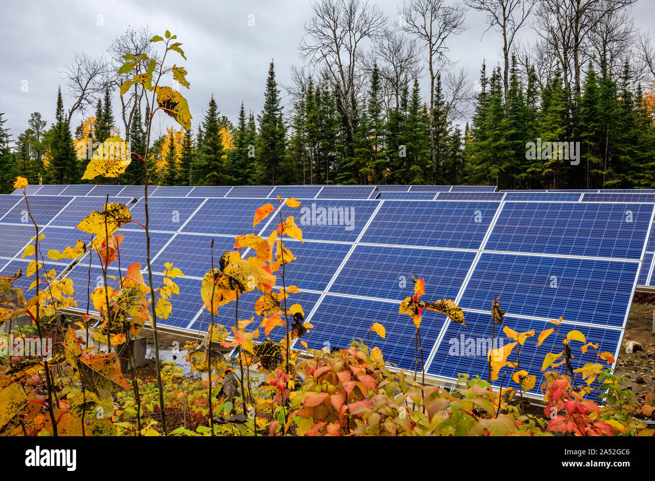 Energia solare pannelli nella foresta, Manitoba, Canada. Foto Stock