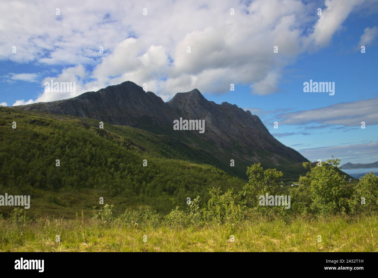 Senja isola, Norvegia Foto Stock