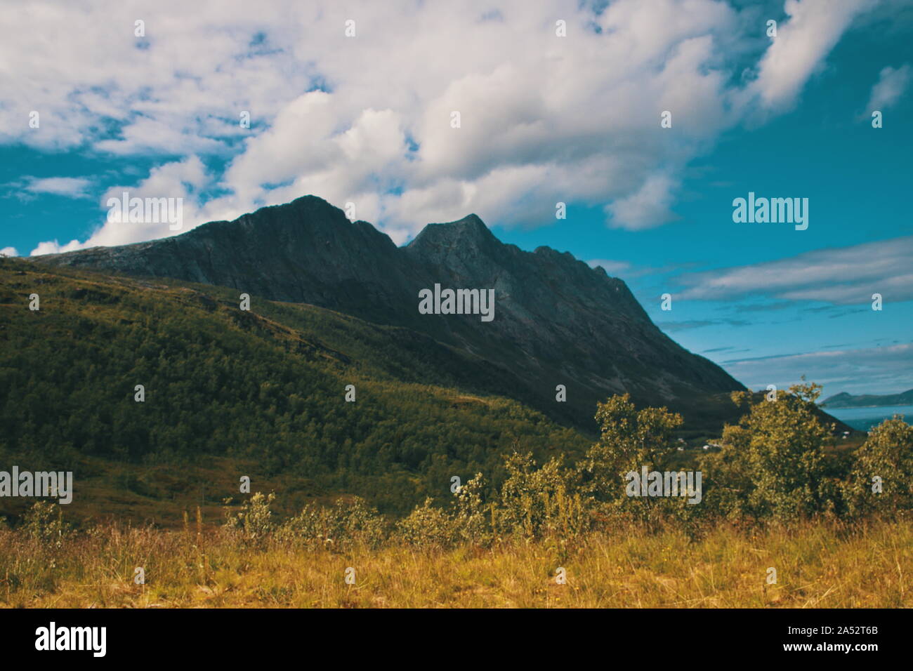 Senja isola, Norvegia Foto Stock