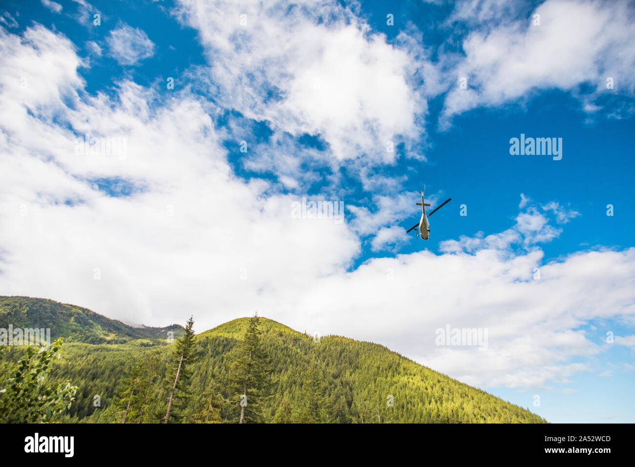 Un elicottero che vola sopra la montagna boscosa. Foto Stock