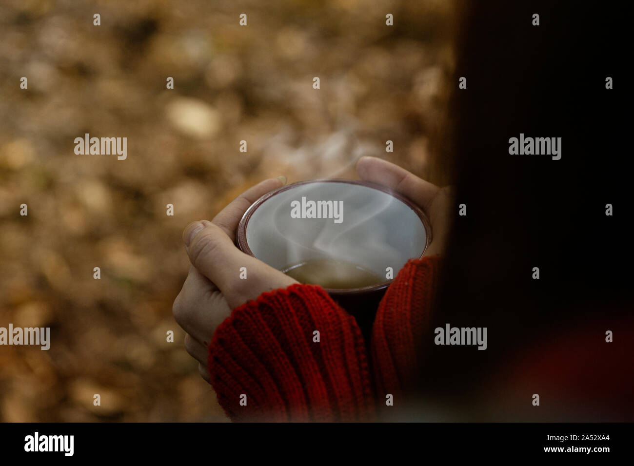 Bella ragazza in maglione holding tazza di tè in mani mentre è seduto nella foresta. Caduta vibes, moody autunno foto con spazio di copia Foto Stock