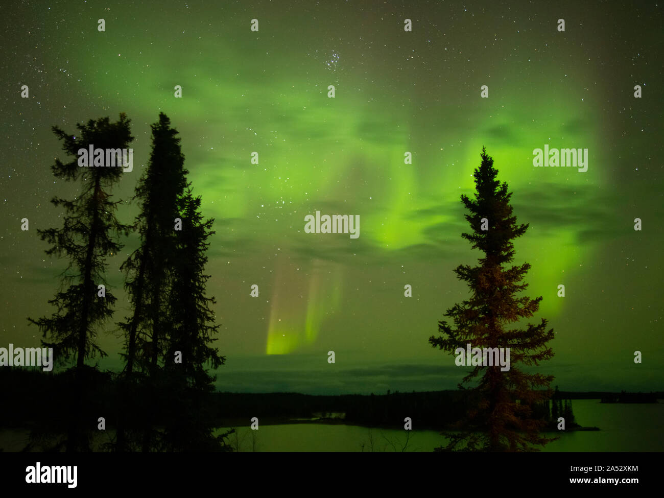 Aurora boreale, o luci del nord, vicino a Yellowknife, NWT, Canada, Autunno Foto Stock