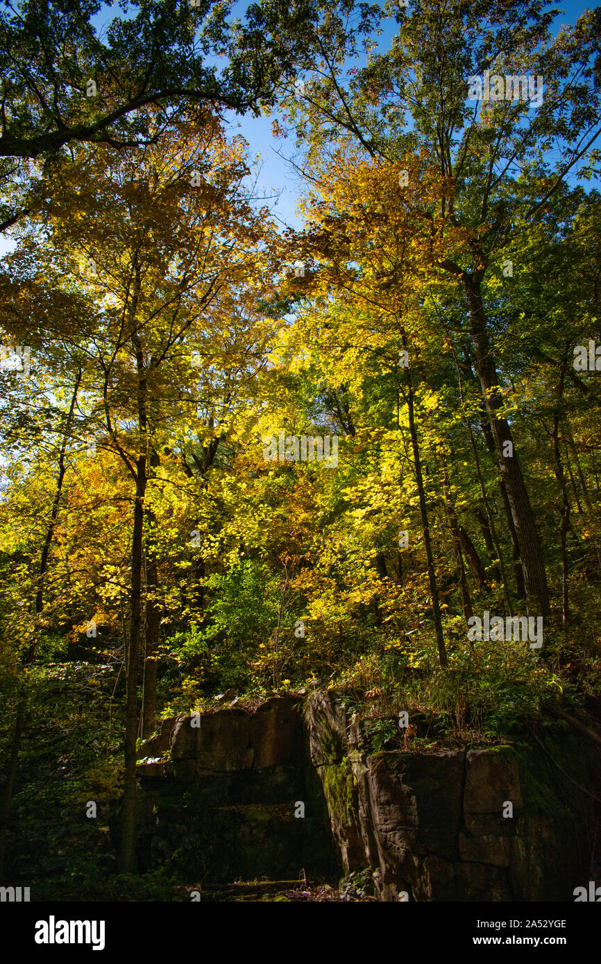 I colori dell'autunno al di sopra di formazione di roccia Foto Stock