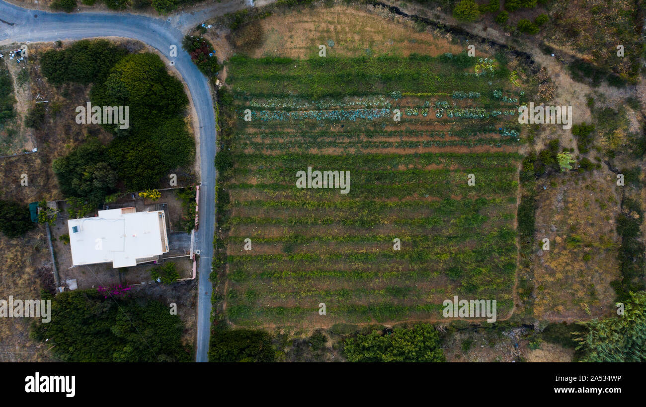 Vista aerea del campo di agricoltura Foto Stock