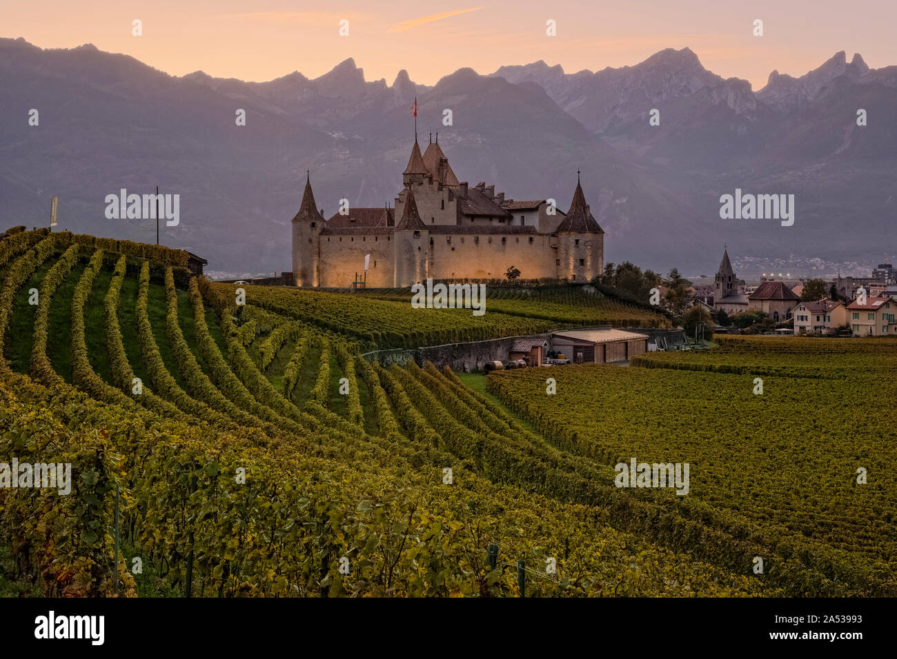 Chateaux Aigle, Vaud, Svizzera, Europa Foto Stock