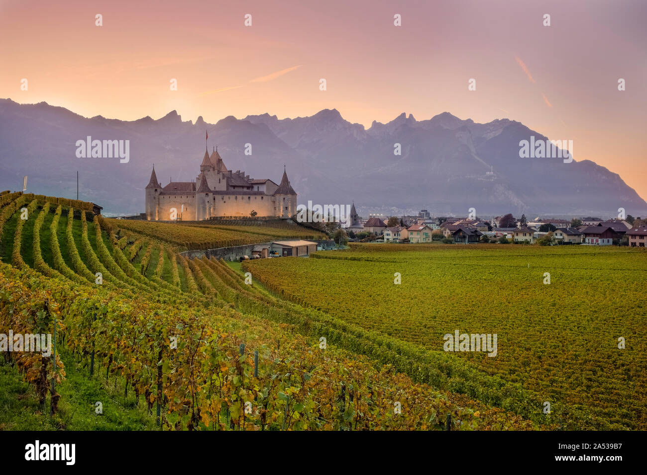 Chateaux Aigle, Vaud, Svizzera, Europa Foto Stock