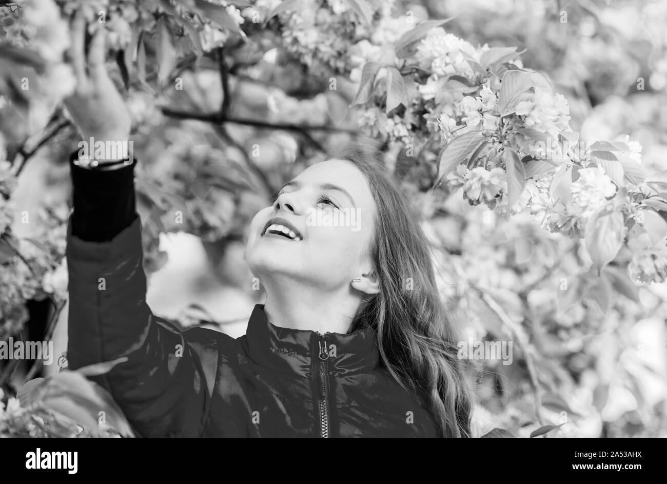 Vacanze estive. Infanzia bellezza. dermocosmesi spa. Prodotti cosmetici naturali per la pelle. Felice ragazza in fiore di ciliegio. Sakura tree fioritura. piccola ragazza in fiore di primavera fioriscono. blossom odore, allergia. Primavera di bellezza. Foto Stock