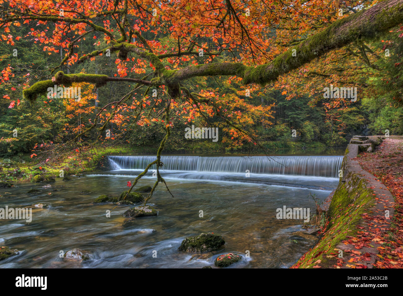 Gorges de l'Areuse, Noirague, Neuchatel, Svizzera, Europa Foto Stock