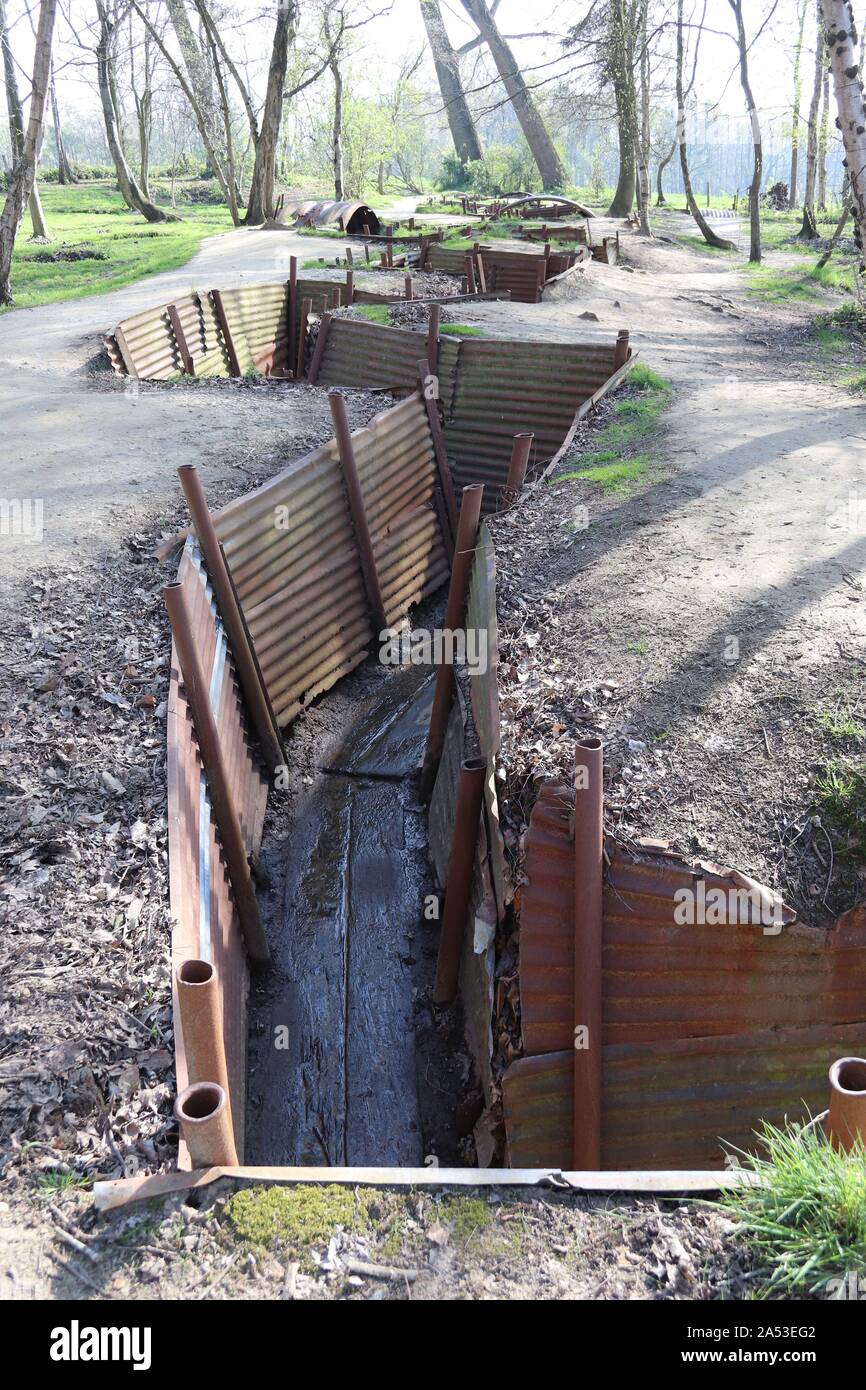 Trincee al Sanctuary Wood First Worls War Museum a Hill 62 vicino a Ypres / Ieper Fiandre Foto Stock