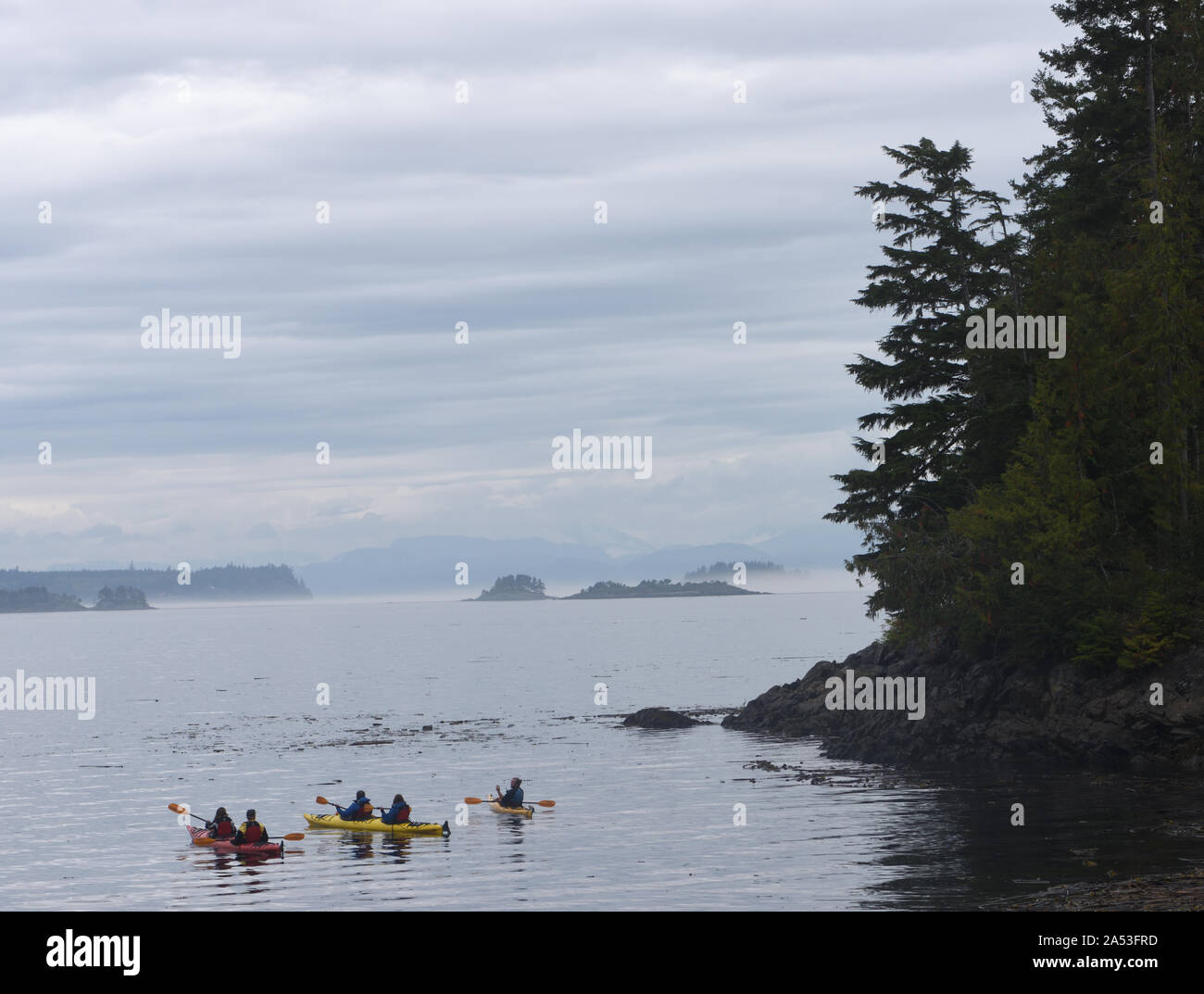 Kayakers insieme fuori dal telegrafo Cove in una nebbiosa mattina. Telegraph Cove, British Columbia, Canada. Foto Stock