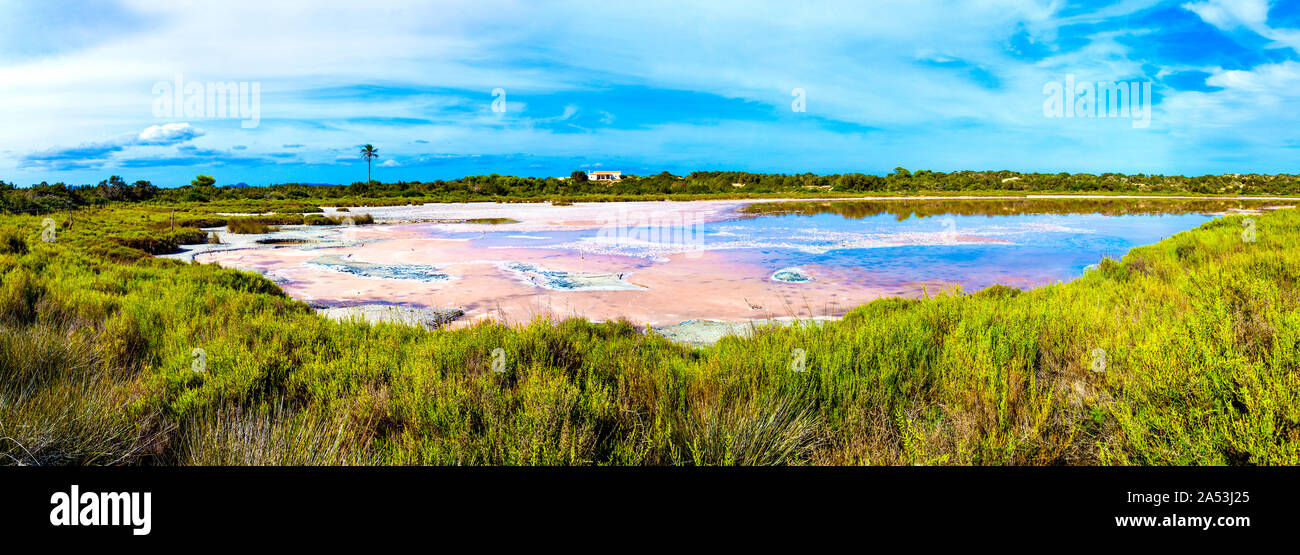 Pianura salmastra (lago salato), bagno di fango su S'Espalmador, Formentera, Spagna Foto Stock