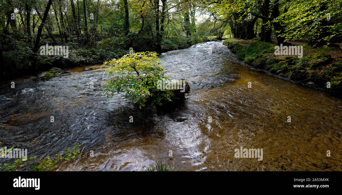 Una immagine panoramica del fiume Fowey fluente attraverso l'antico bosco di querce di legno Draynes vicino Golitha Falls in Cornovaglia. Foto Stock