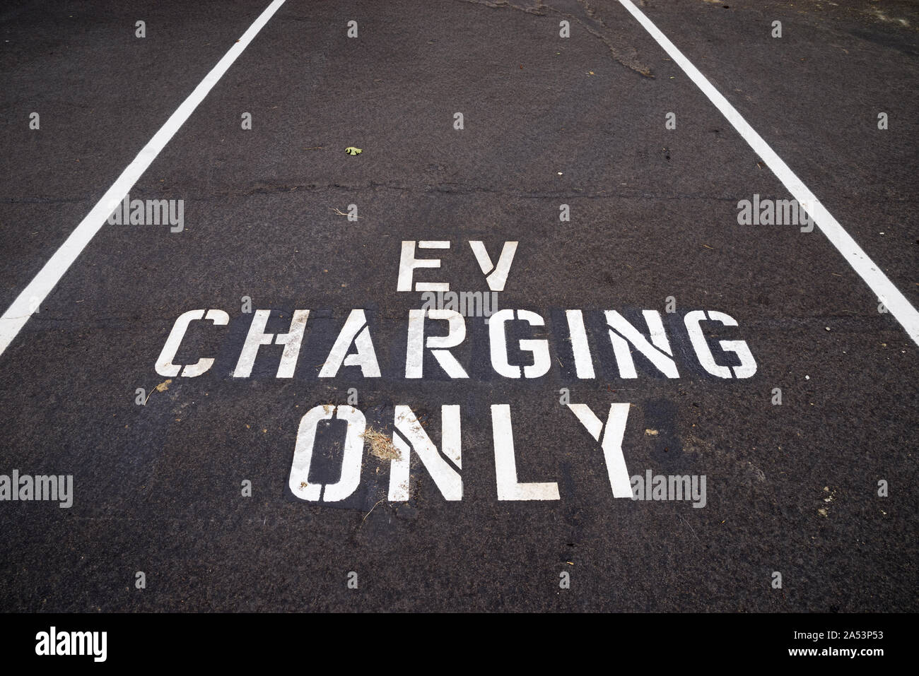 EV in carica solo scritta in bianco sul pavimento scuro di un veicolo elettrico spazio di carica Foto Stock