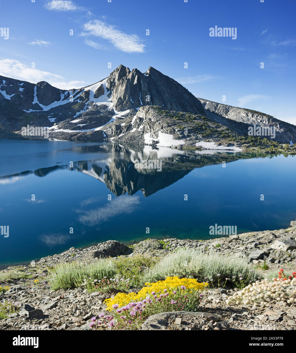 Lago d'anatra in John Muir Wilderness con la riflessione di montagna e fiori di campo Foto Stock