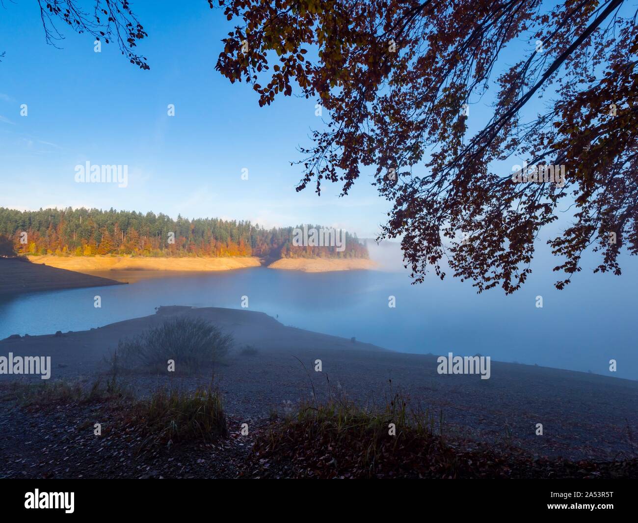 Misto di mattina nebbia e sole soleggiato sopra la superficie dell'acqua-paese campagna laterale Lokve lake Lokvarsko jezero Croazia Foto Stock