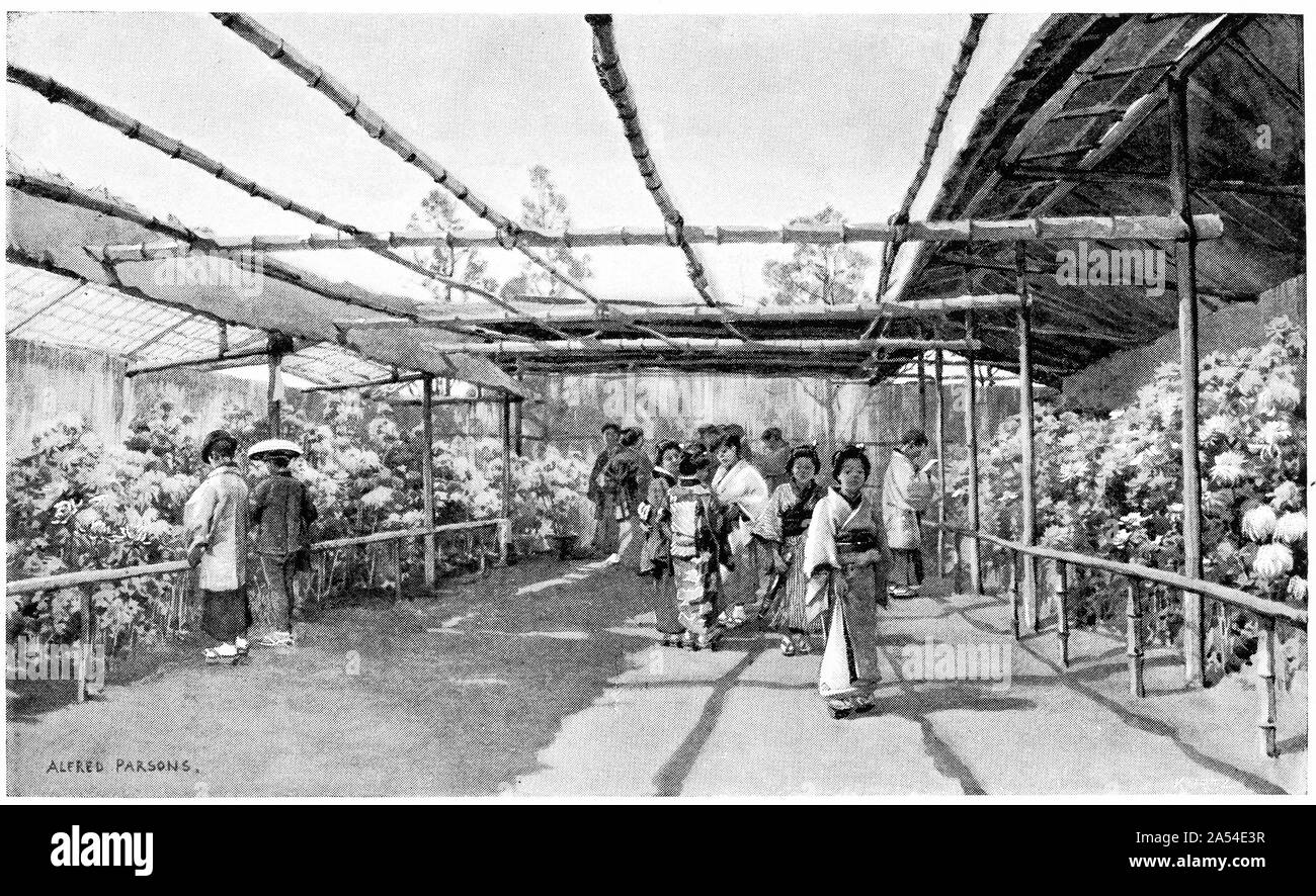 Incisione di un crisantemo show a Yokohama. Da Harper's magazine 1895 Foto Stock