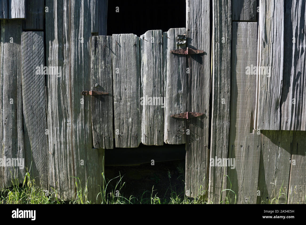 CA03725-00...CALIFORNIA - mezza porta presso il centro storico di Lione pecore Ranch fienile in Bald Hills area di Redwoods National Park. Foto Stock