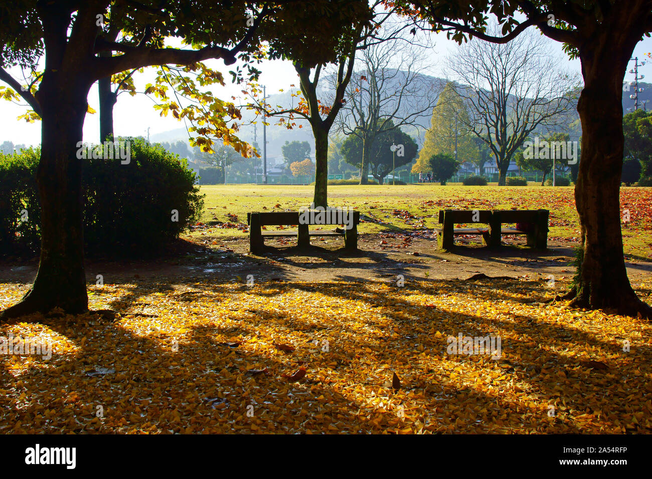 Kumamoto Athletic Park, autunno Foto Stock