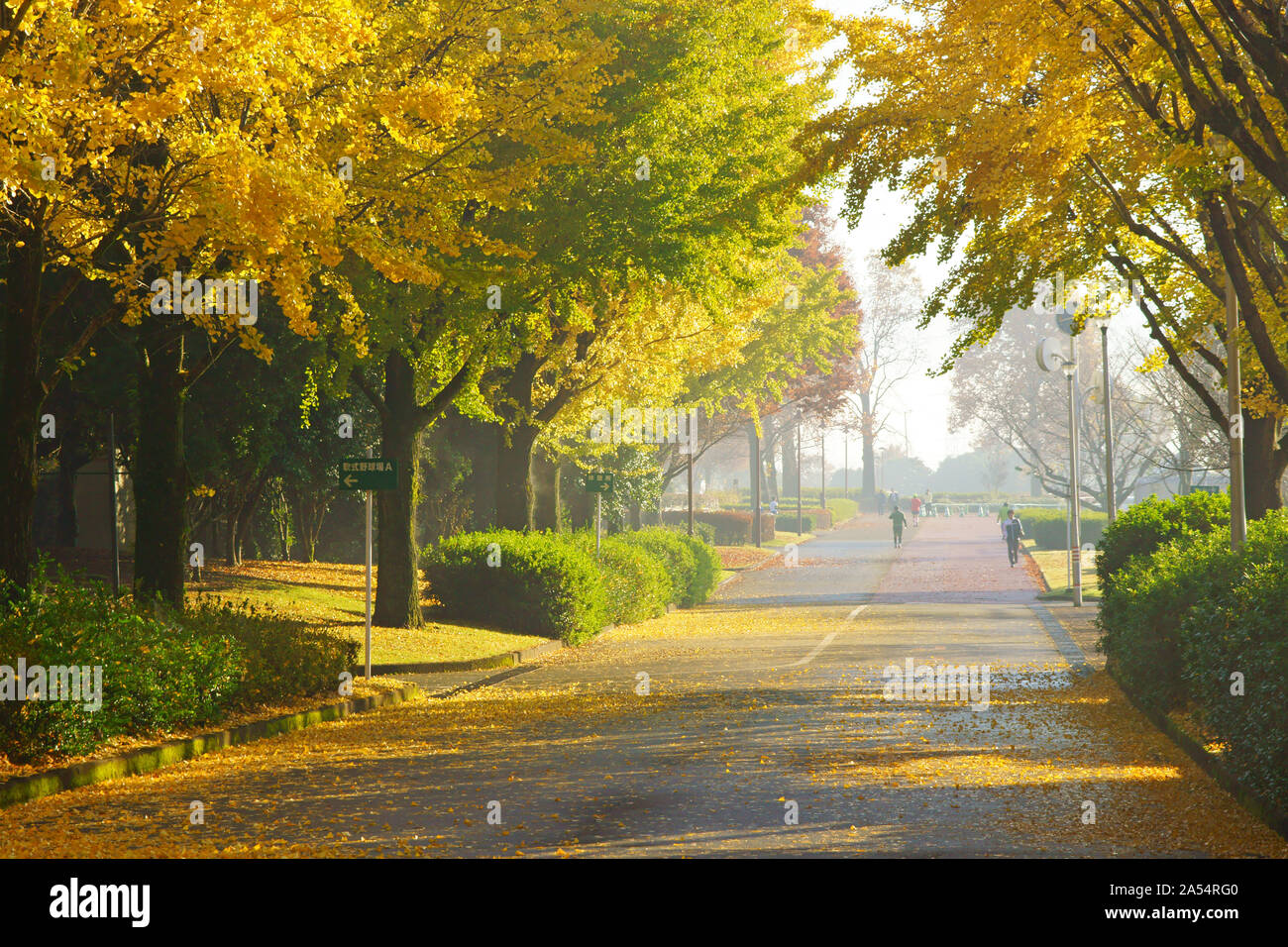 Kumamoto Athletic Park, autunno Foto Stock