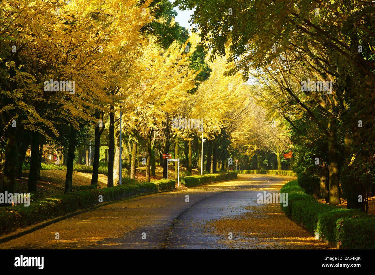 Kumamoto Athletic Park, autunno Foto Stock