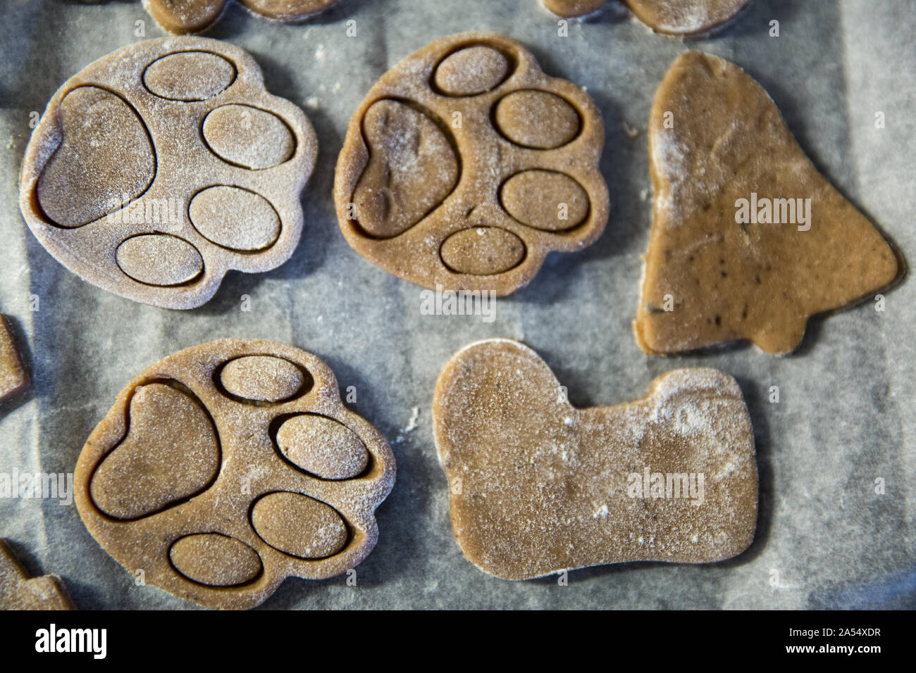 Vassoio del tradizionale Natale biscotti allo zenzero, raw cookies, gatti zampe, Campana e stivali forma. Macro, vista dall'alto, vicino. Foto Stock