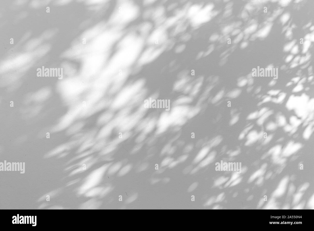 Sfumatura ombra delle foglie sulla parete bianca di sfondo astratto. Foto Stock