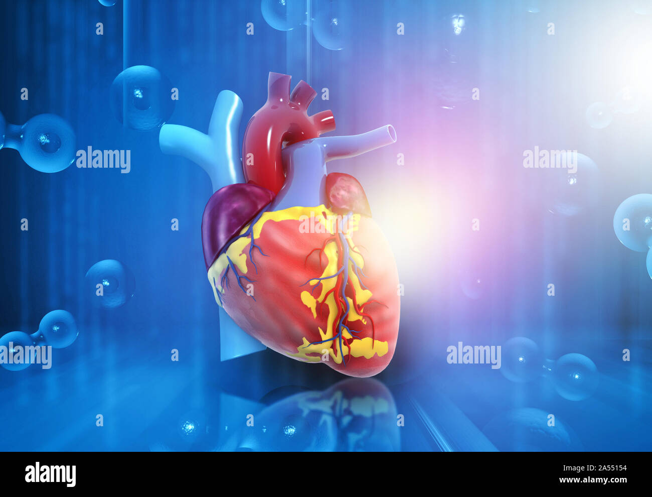 Cuore umano anatomia su abstract medico di fondo. 3d illustrazione Foto Stock