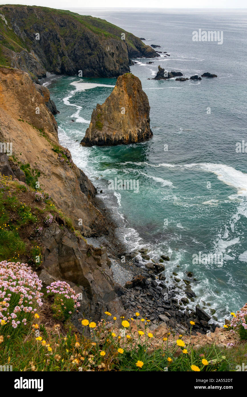 La costa frastagliata della costa di rame sulla Wild Atlantic modo vicino Tankardstown sulla costa occidentale della Repubblica di Irlanda. Foto Stock
