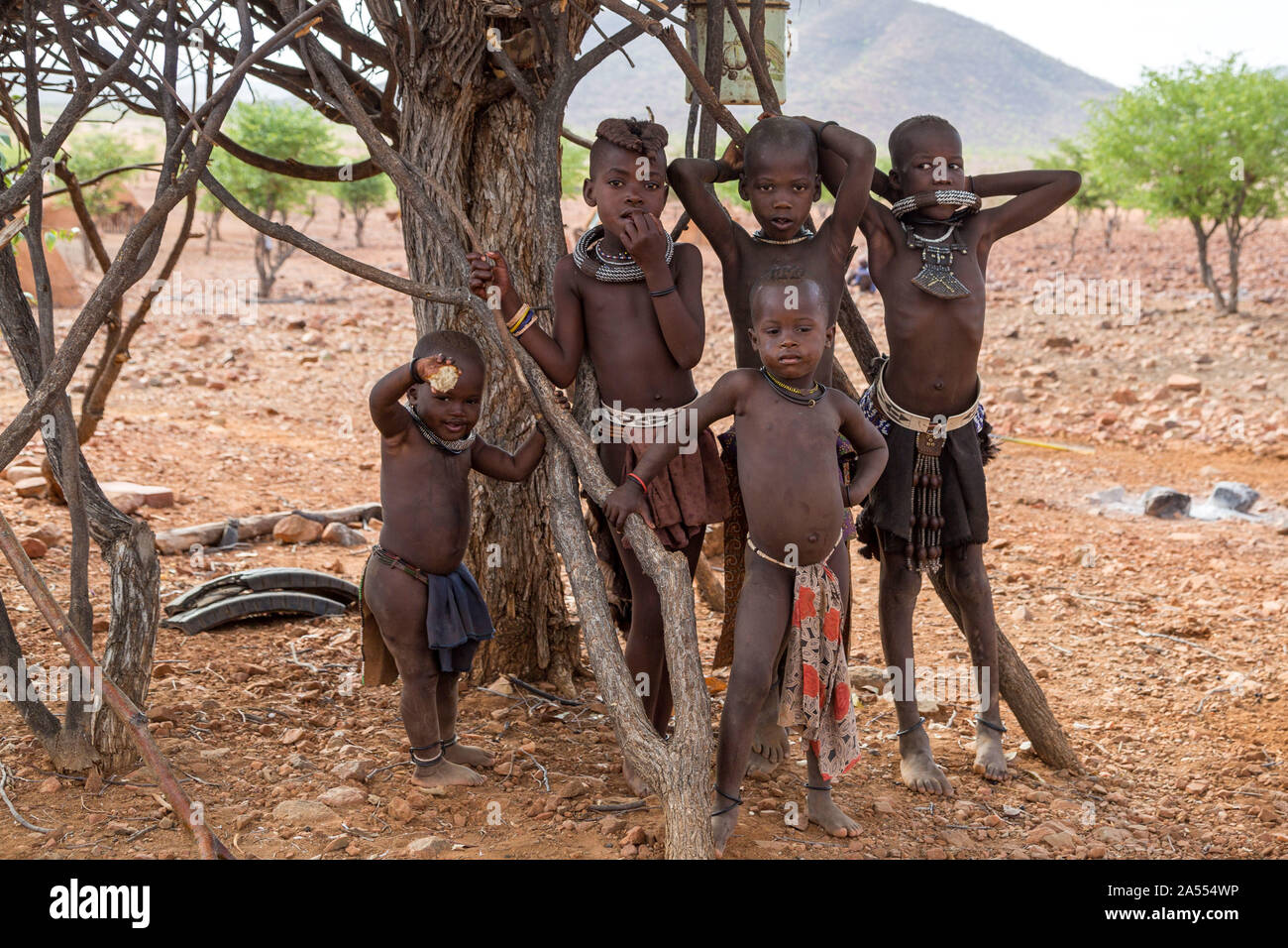 Un gruppo di bambini Himba in piedi accanto ad un albero, Kaokoland, Namibia, Africa Foto Stock