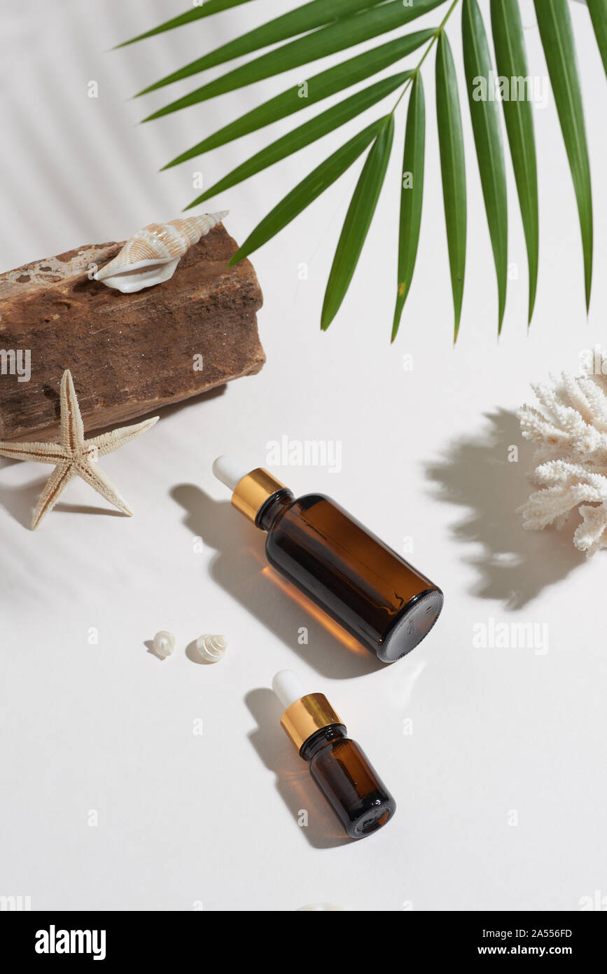 Siero o di olio essenziale in stile tropicale con lasciare, rocce, mare sehlls su sfondo bianco. Prodotto di bellezza concetto. Foto Stock