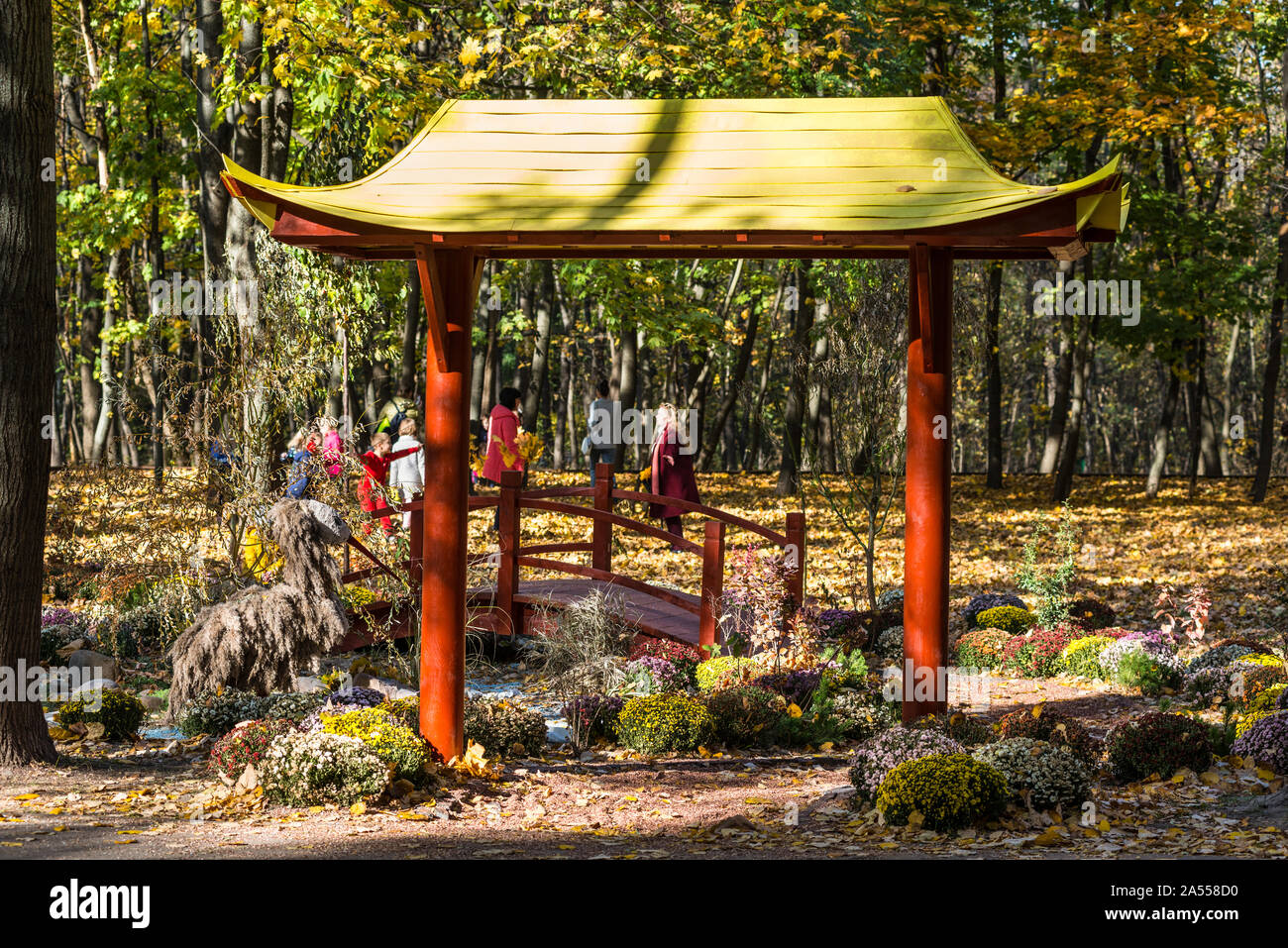 Kiev, Ucraina - 17 Ottobre 2019: composizione del paesaggio luminoso della Cina con un ponte e un torrente asciutto nel parco Syretsky a Kiev, Ucraina. Foto Stock