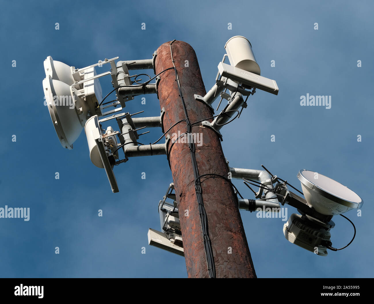 Sistema di sicurezza di luci e telecamere su alte post in legno. Foto Stock